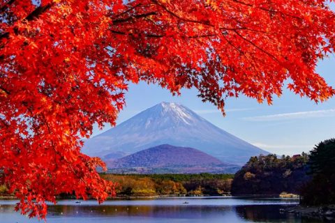 Fuji-Kawaguchi Autumn Foliage Festival 2026（出典ページの画像）